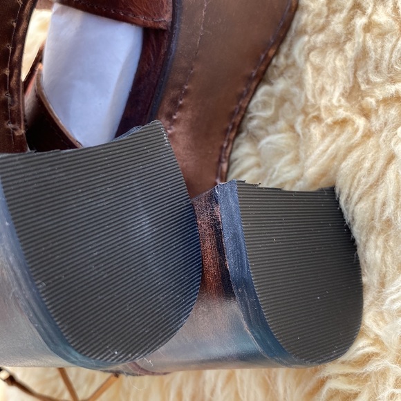 Brand new FREEBIRDS! These are the Beautiful ZUES. - Picture 5 of 7